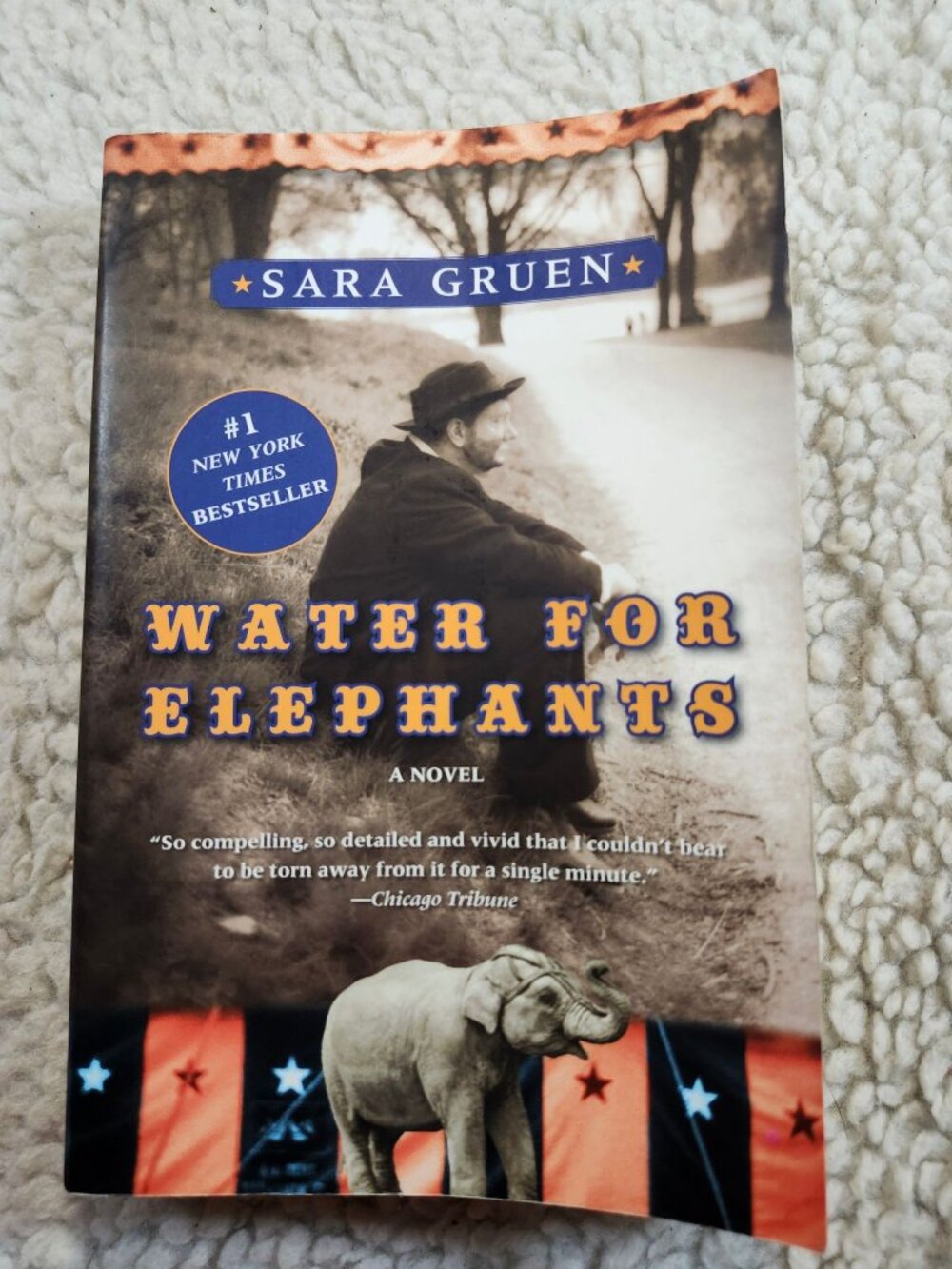 Water for Elephants Sara Gruen Paperback 2007 Harper Perennial Fiction Used